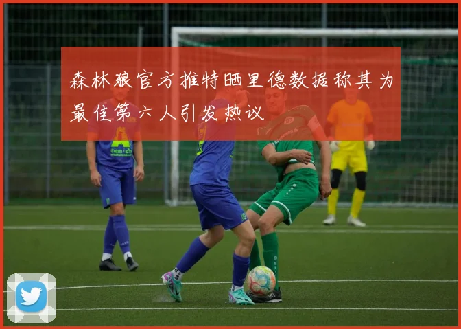 森林狼官方推特晒里德数据称其为最佳第六人引发热议