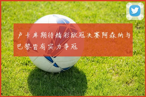 卢卡库期待精彩欧冠决赛阿森纳与巴黎皆有实力争冠